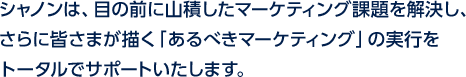 シャノンは、目の前に山積したマーケティング課題を解決し、さらに皆さまが描く「あるべきマーケティング」の実行をトータルでサポートいたします。